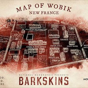 Foto El bosque infinito