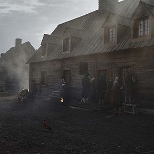 Foto El bosque infinito