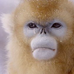 Foto Un planeta absurdo