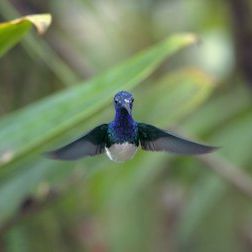 Foto Un planeta absurdo