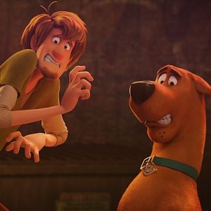 Foto ¡Scooby!