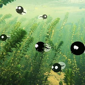 Foto El caracol y la ballena