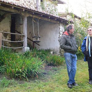 Foto Olea… ¡Más alto!