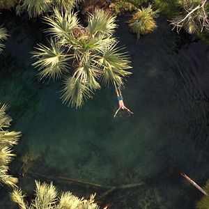 Foto Viaje a lo oculto