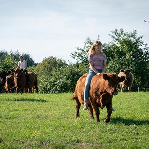 Foto Dios, ¿por qué eres tan idiota?