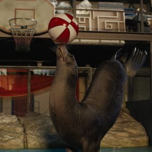 Foto El magnífico Iván