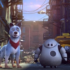 Foto Mascotas unidas