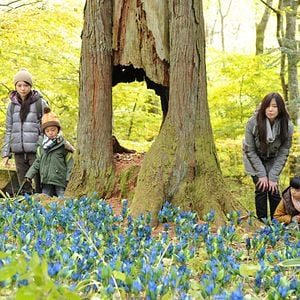 Foto Tomoko Yamaguchi