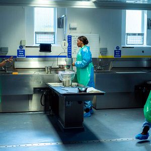 Foto Sian Reese-Williams