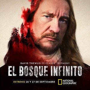 Foto El bosque infinito