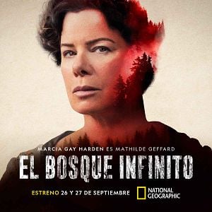 Foto El bosque infinito