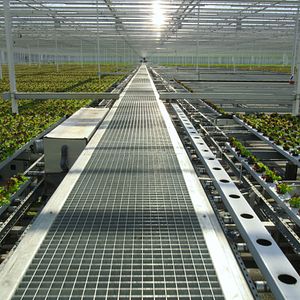 Foto David Attenborough: Una vida en nuestro planeta