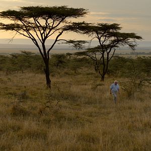 Foto David Attenborough: Una vida en nuestro planeta