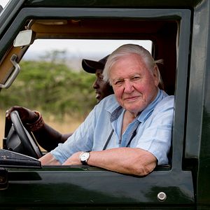 David Attenborough: Una vida en nuestro planeta - Película 2020