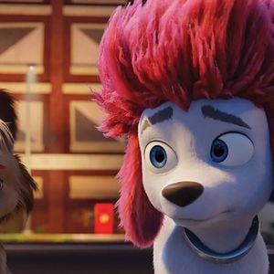 Foto 100% Wolf: Pequeño gran lobo