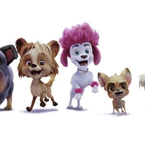 Foto 100% Wolf: Pequeño gran lobo