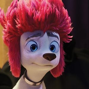 Foto 100% Wolf: Pequeño gran lobo