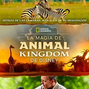Foto La magia de Animal Kingdom de Disney