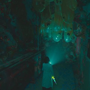 Foto The School Nurse Files