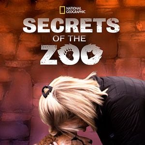 Foto Los Secretos Del Zoo