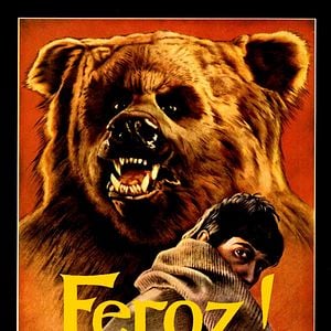 Foto Feroz