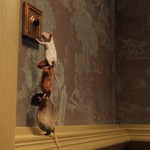 Foto Las Brujas (de Roald Dahl)