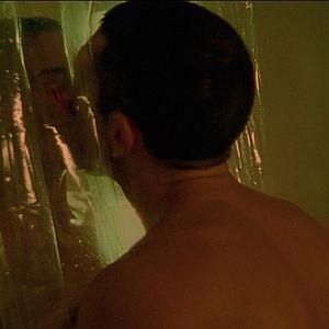 Foto Irréversible - Inversion Intégrale