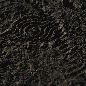 Foto Acosador nocturno: A la caza de un asesino en serie