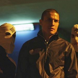 Foto Alacrán Enamorado