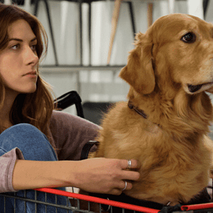 Foto In the Dark (2019)