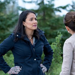 Foto Toda la verdad (Burden of Truth)