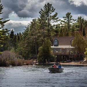 Foto El lobo y el león