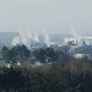 Foto El profesor Bachmann y su clase