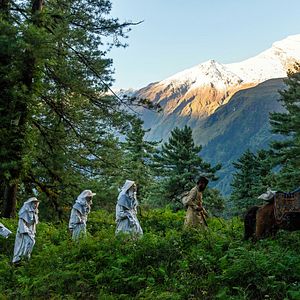 Foto Black Narcissus