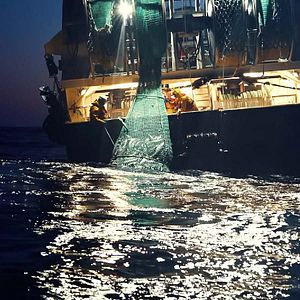 Foto Seaspiracy: La pesca insostenible