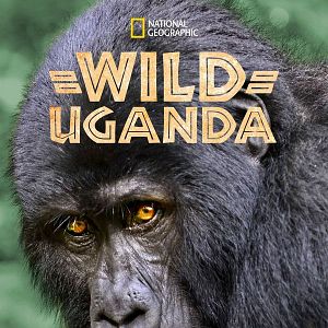 Foto Wild Uganda