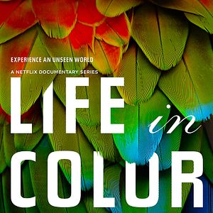 Foto La vida a todo color, con David Attenborough