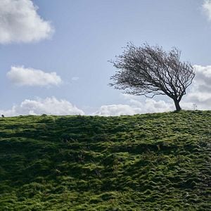 Foto Una canción irlandesa