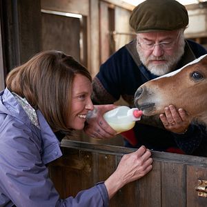 Foto Caballo soñador