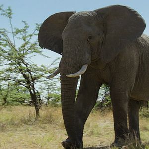 Foto Los límites de nuestro planeta: Una mirada científica