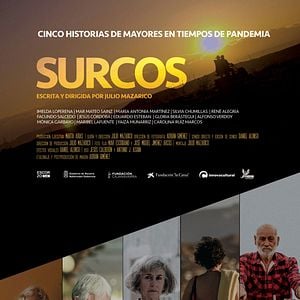 Foto Surcos