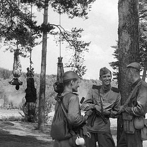 Foto El pájaro pintado