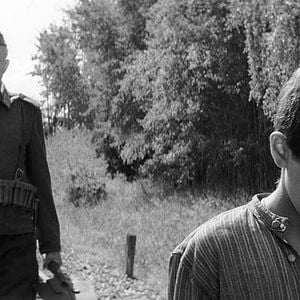 Foto El pájaro pintado