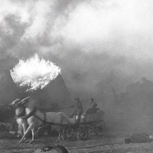 Foto El pájaro pintado