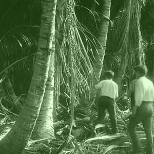 Foto 20.000 leguas de viaje submarino