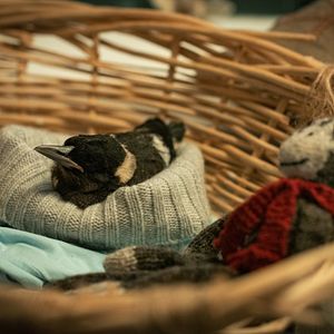 Foto La familia Bloom