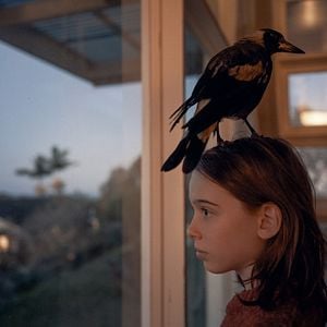 Foto La familia Bloom