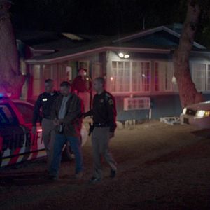 Foto Robos magistrales