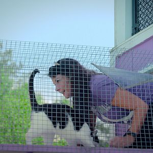 Foto Locos por los gatos