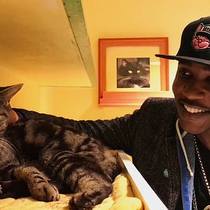 Foto Locos por los gatos